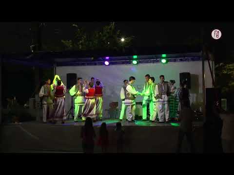 Zilele Tormăcene 2018 - Ansamblul Voitegeana