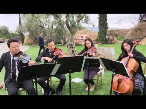 Titanium cover- Jopa String Quartet