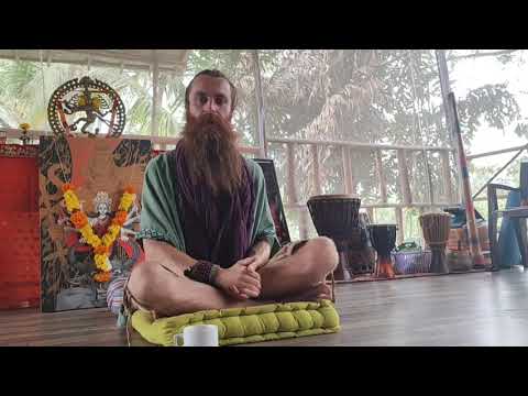 Amanita Muscaria (Fly Agaric Mushroom) - secrets of 🍄 and Human Consciousness.