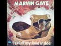 Marvin Gaye  ‎– Feel All My Love Inside (Extended Version)