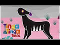 Zebras New Stripped Coat Tinga Tinga Tales Official 1 Hour Of Full Episodes