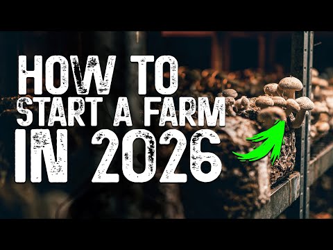 Starting a mushroom farm in 2026