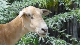 El Filo de la Noche en Las Clavellinas..