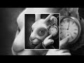 Girlfriends New Computers Slowed Tiktok Meme