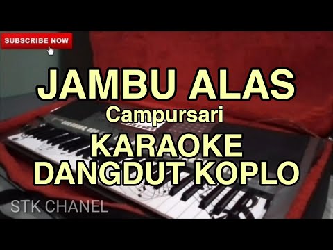 JAMBU ALAS ( Campursari Hits) KARAOKE DANGDUT KOPLO STK CHANEL