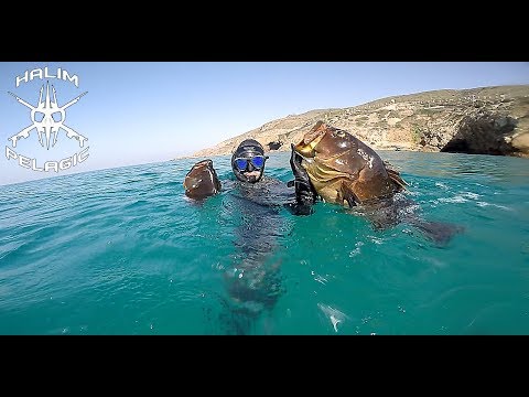 chasse sous marine mérous Oran Algérie/صيد سمك الميرو في وهران الجزائر