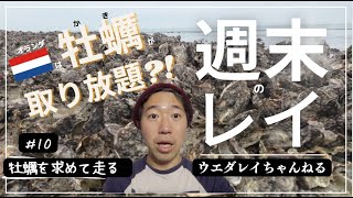 Vlog #10【オランダは牡蠣がタダで取り放題?!前編】ランニングよりキツかった事それは…