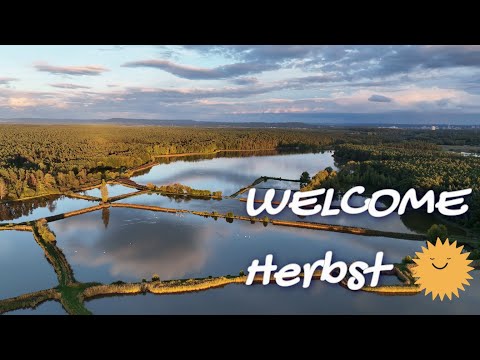 2022 09 28 Welcome Herbst in der Weiherlandschaft 4K UHD