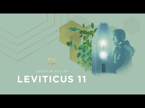 Leviticus 11 | Clean and Unclean Animals | Bible Study