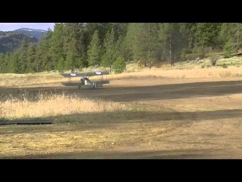 1/3 Scale Sopwith Pup