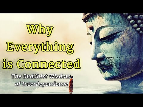 Why Everything is Connected — The Buddhist Wisdom of Interdependence