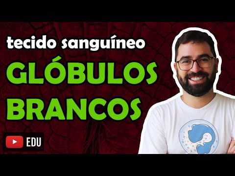 Leukocytes (White Blood Cells) - Class 12 - Module VII: Human Histology and Physiology | Prof. Gui