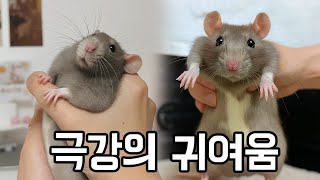 유튜브 썸네일