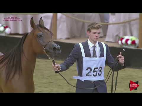 253 RAWAN AL JASSIMYA - 21st Qatar National 2018