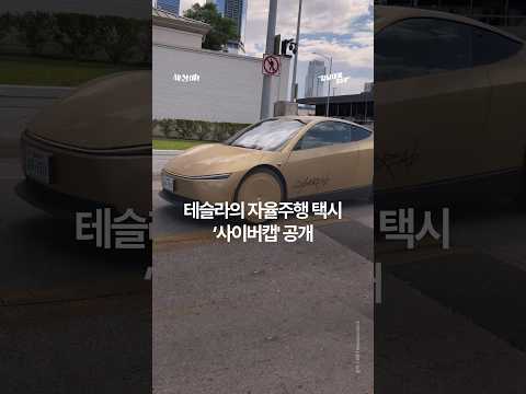 테슬라의 자율주행 택시 ‘사이버캡' 공개