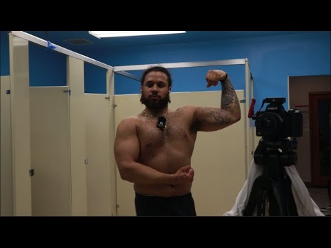 Spring Bulk Day 11 Arms