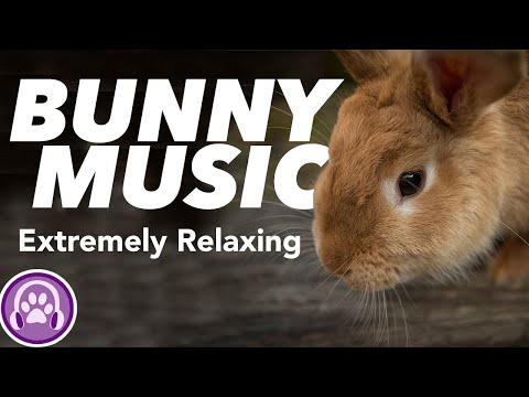 EXTRA LONG Music for Rabbits - Soothing Therapy Tunes