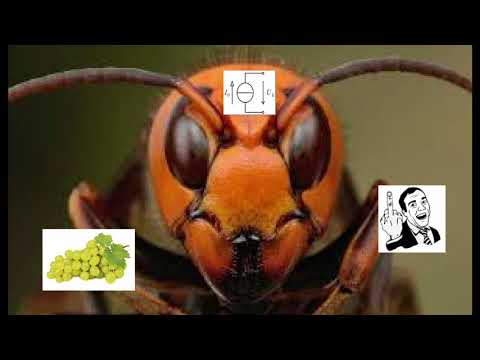 DJ Theveninfeszgen - Fonnyadt Darazsas mix