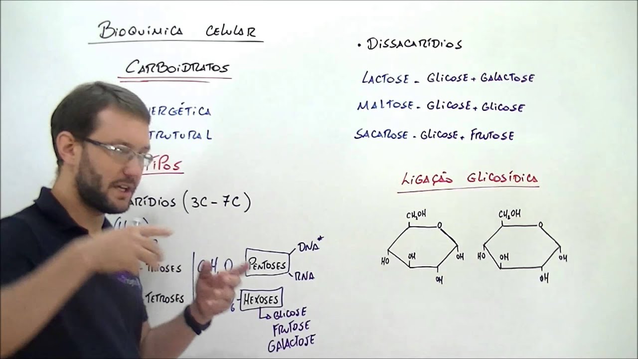X da Questão   Biologia   Carboidratos   Monossacarídeos e dissacarídeos