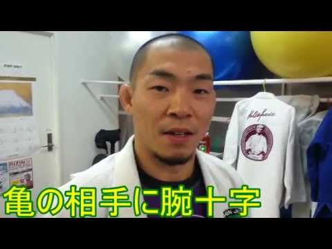 亀の相手に腕十字 – ブラジリアン柔術