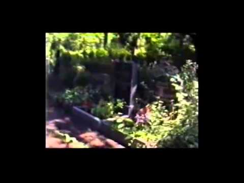 Gustav und seine Märkische Heidr 4-4