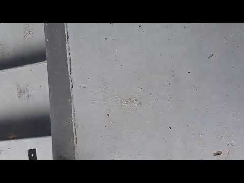 Csu Brasov - Csm Miercurea Ciuc 90 - 20, TF U15F, Buziaș 01.05.2019