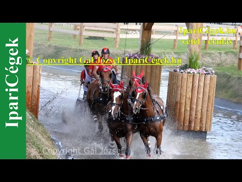 Fogathajtás, VOUTAZ Jérôme (43), SUI, 7s, Marathon, 4K, Bp, 2021, sv4K210904-1-1839-220726