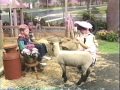 Barney And Friends Down On Barney S Farm