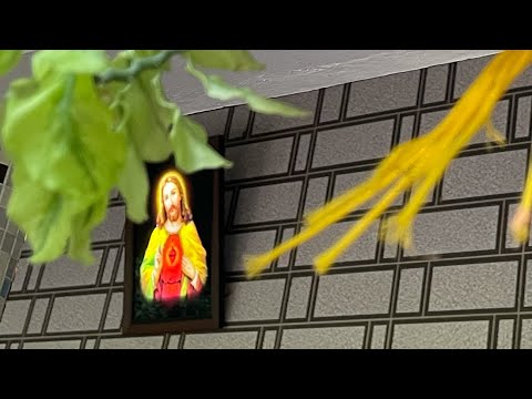 St Alphonsa Church Garden ￼