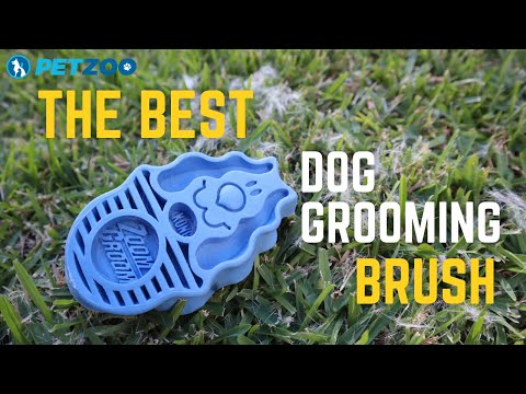 How to De-Shed your Dog FAST | KONG ZoomGroom Dog...