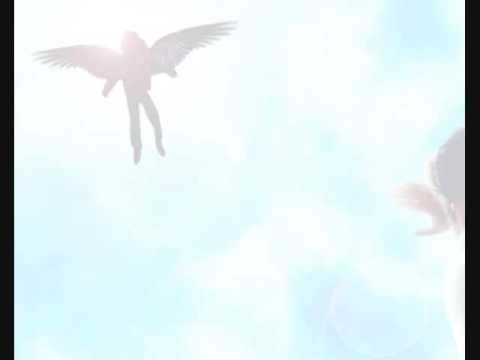 Maximum Ride Trailer (with moving clips!) XD