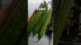 Download lagu 3 BITTEREST FOODS 😭 #facts #foodfacts #bitter mp3 Download lagu 3 BITTEREST FOODS 😭 #facts #foodfacts #bitter mp3