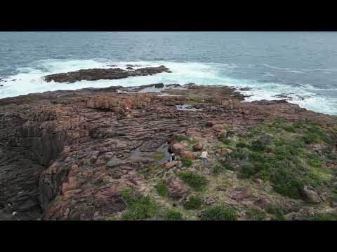 Pippa & Toby Boat Harbour