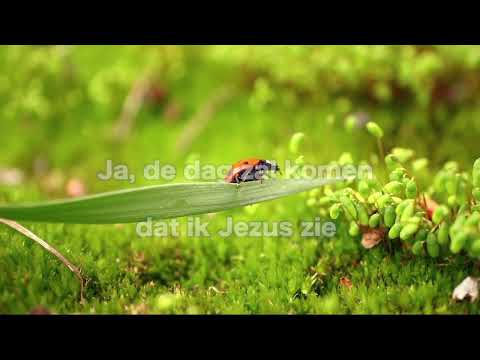 Opwekking 263 Er is een Verlosser