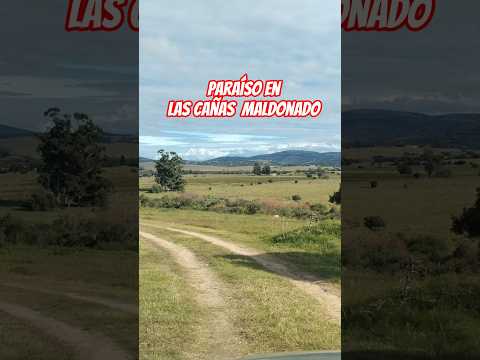 🌿 Las Cañas como nunca la viste | Naturaleza y paz 🇺🇾