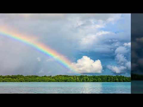 Carol Cole - A Taste of Freedom