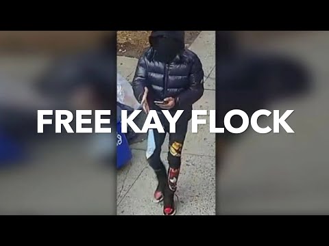[FREE] 26AR x Kay Flock x NY Drill Sample Type Beat "Free Kay Flock" (Prod. Elvis Beatz)