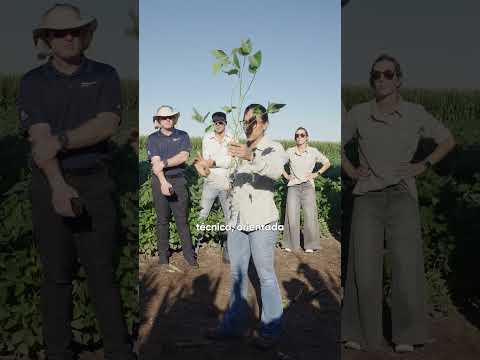 Raíces LAB - Saber para Crecer, desde Monte Cristo, Córdoba. 🌱