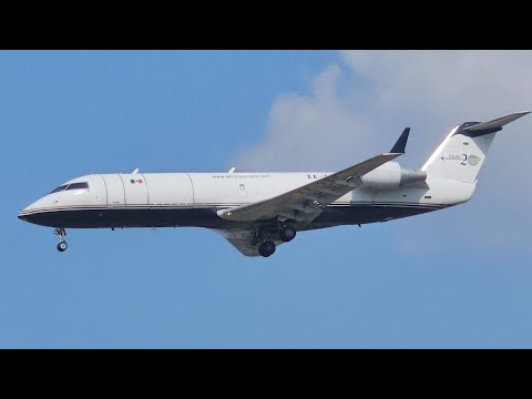 Aeronaves TSM Mitsubishi CRJ-200SF Landing On Runway 31 #yqr