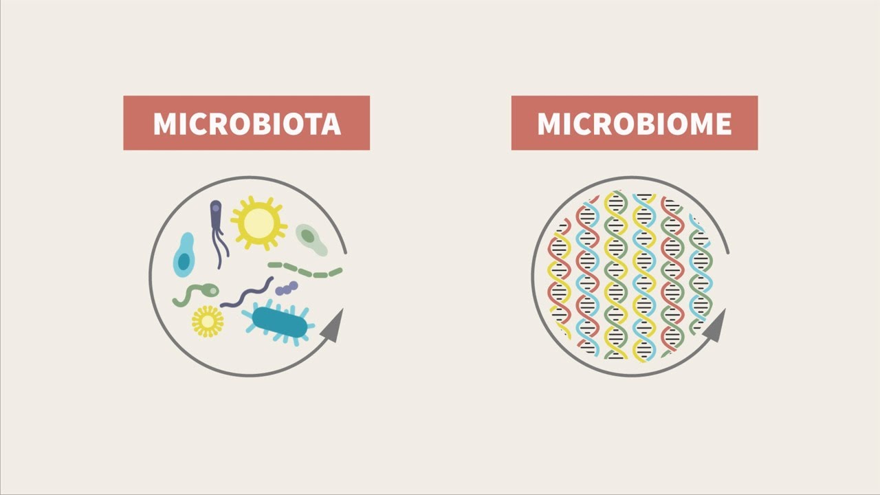 What is microbial ecology?