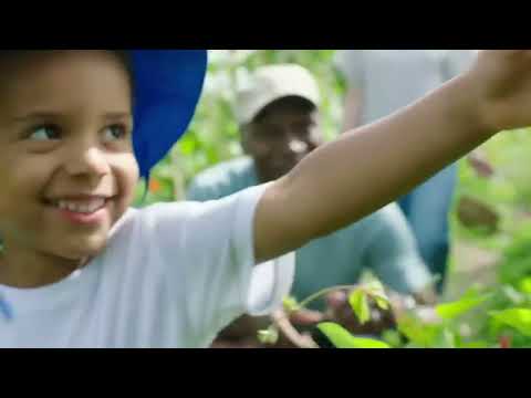 Teletubbies Greens Official Season 16 Full Episode(720P_HD)