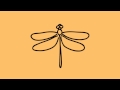 Dragonfly Intro