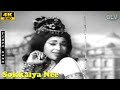 Sokkaiya Nee Sikkaiya Song Jaishankar Vanisri L R Eeswari M S Vishwanathan Athai Magal