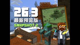 透明方塊及各類最佳化 26.3 Snapshot 2 MC新版介紹