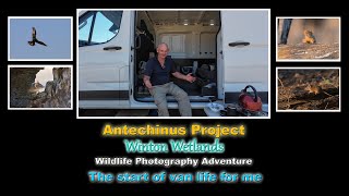 Wildlife Photography Adventure and Van life for me 😎.