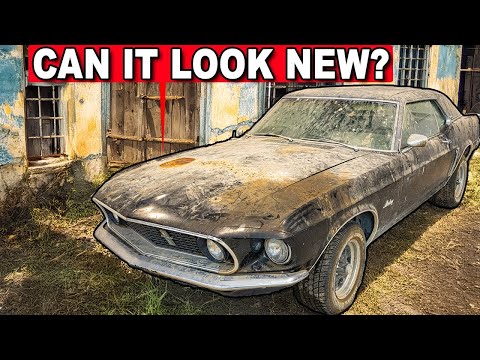 Real-Time Cleaning of an ABANDONED Mustang From The 60's!