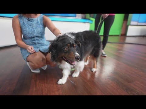 Sammy's Stars: Oct. 15, 2025 - YouTube