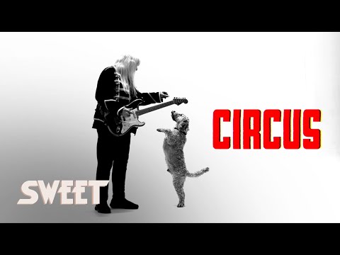 Video thumbnail for Circus