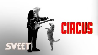 Sweet - Circus
