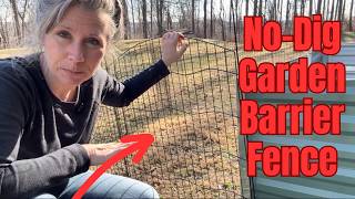 No-Dig Garden Fence. 10-Panel Barrier Fence. Will it keeps rabbits out?